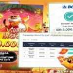Bok menang Tiger Fortune Rajaslot 18 Mei 2025