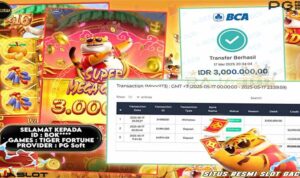 Bok menang Tiger Fortune Rajaslot 18 Mei 2025